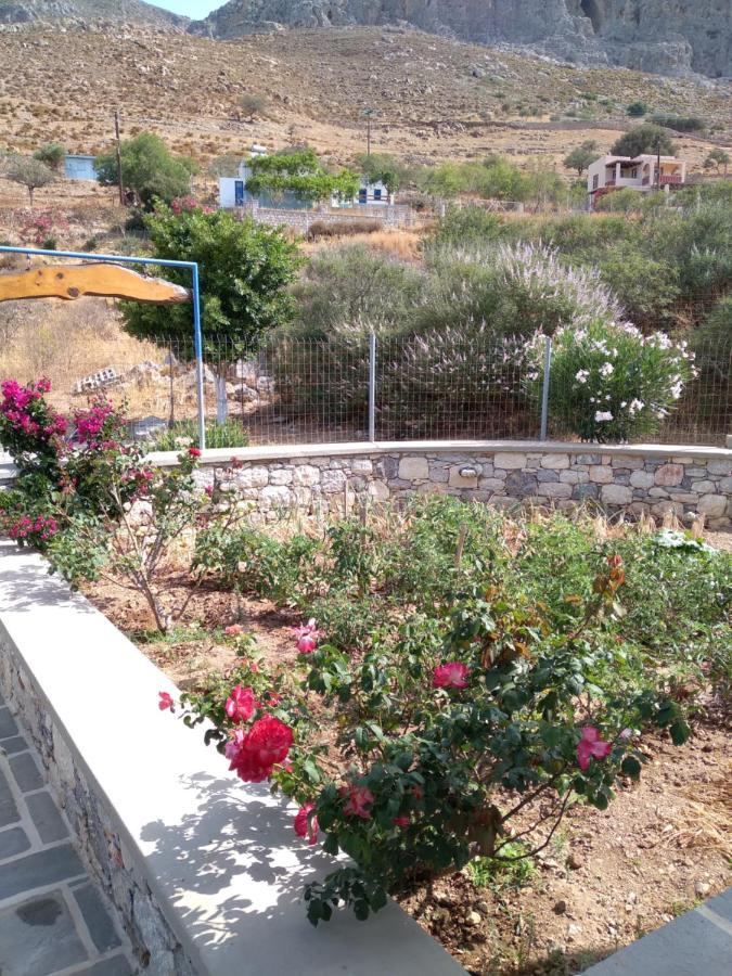 Villa Polymnia Emborios Eksteriør bilde