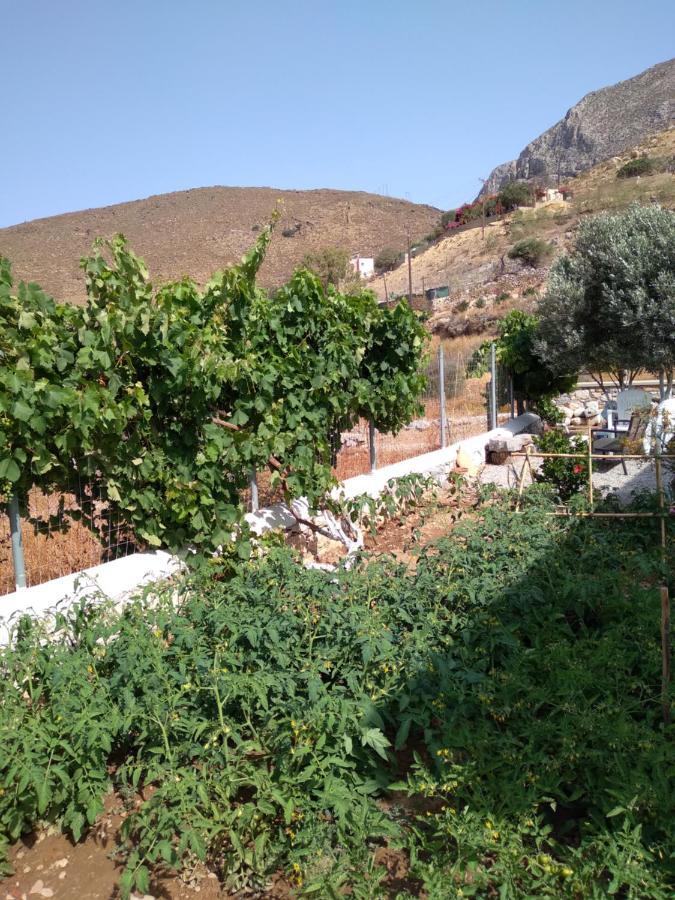 Villa Polymnia Emborios Eksteriør bilde